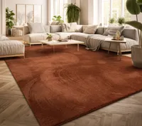 TT Home Teppich Wohnzimmer Kurzflor Anti-Rutsch Rückseite Einfarbiges Design Waschbar  Größe 160x220 cm
