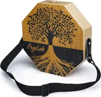 POGOLAB Zweifarbiges Cajon-Trommel-Schlaginstrument aus Holz + Gurt