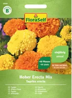 Großblütige Studentenblume Mischung FloraSelf Blumensamen