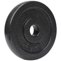 #DoYourFitness Litinové zátěžové talíře - 2,5 kg - Otvor 28/29 mm - Šedé