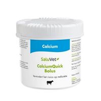 Saluvet CalciumQuick Bolus - 6 x 95 gramov