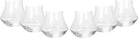 Botucal Rum Tumbler Glas Gläser Set - 6x Tumbler