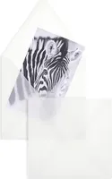 100 Transparente Briefumschläge 155x155 mm mit Nassklebung