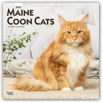 Maine Coon Cats 2022 Square
