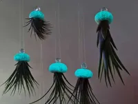 4x Seeigel leuchten in Aqua blau Nachts mit Hängepflanze Lebende Tillandsia SI5