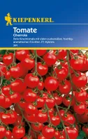 Kiepenkerl Cherry-Tomatensamen Cherrola, F1