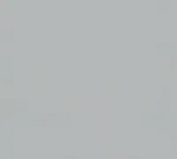 A.S. Création Vliestapete MeisterVlies 5 die glatte Wand grau 10,05 m x 0,53 m 309136