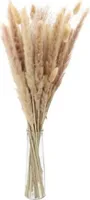 Glasvase mit Trockenblumenstrauß - ca. 8 x 25 cm