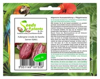 8x Aubergine Listada de Gandia- Aubergine Samen Gemüse KS461