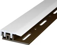 Prinz Abschlußprofil Profi-Design silber 21 mm x 0,9 m