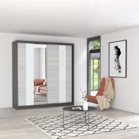 Schwebetürenschrank Kleiderschrank Schrank 203cm Grau/Kathult mit Spiegel Multi 32