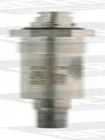 Świeca żarowa/płomieniowa BORGWARNER (BERU) GE101
