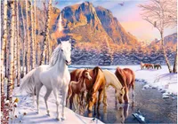 CASTORLAND Puzzle 500el. Winter Melt - Kone zimná krajina