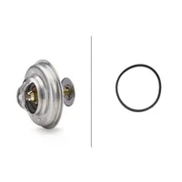 Chladicí kapalina termostatu pro Citroen/Peugeot/Rover