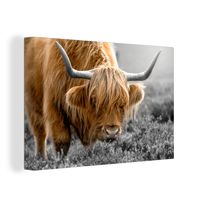 Pixxprint Highland Rind mit großen Hörnern Steppe B&W Detail als Leinwandbild/Größe 120x80 cm/Wandbild/Kunstdruck/fertig bespannt