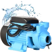 Gartenpumpe QB 60 (2100l/h Fördermenge, 39m Förderhöhe, 3,9bar Druck, 370W) für Süßwasser Bewässerungspumpe Hauswasserwerk Wasserpumpe