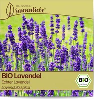 Lavendel Samen Echter Lavendel Kräuter-Samen Saatgut Lavendelsamen