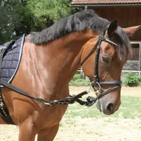 Kerbl Ausbindezügel 2 Stk. Schwarz Warmblut 32660