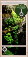 Repiterra® Hochterrarium Frontbelüftung Holzterrarium OSB Holz 60x120x60cm