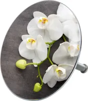 SANILO® Badewannenstöpsel, Pretty