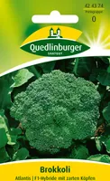Quedlinburger Saatgut - Brokkoli Atlantis F1 - Samen - 424374