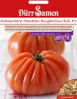 Dürr-Samen - Ochsenherz-Tomaten Rugantino RZ F1 - Saatgut - 4276