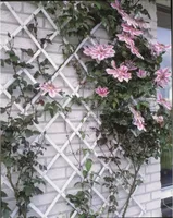 Prírodná záhradná mriežka 50x150 cm PVC biela 6040701