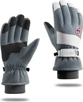 Winter Warme Handschuhe Herren Damen Wasserdichte Skihandschuhe Touchscreen Handschuhe Für Snowboard Skifahren Radfahren Grau