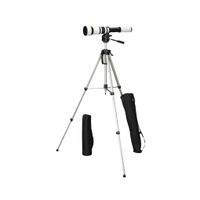 Walimex pro 650-1300/8-16 DSLR Sony A + WT-3570