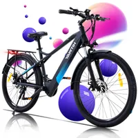 RCB E-Bike für Erwachsene Bis zu 90km (35km
