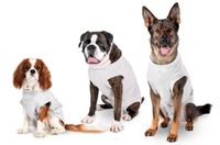 Karlie Safety Body für Hunde grau versch. Größen, Größe:44 cm