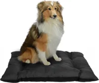 Haustierkissen, Hundekissen, Katzenbett, Haustierbett, Haustiermatratze, Tierbett, Graphitfarbe, XXL 80cm x 120 cm, wasserdichtes Material