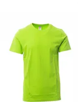 Herren T-Shirt "PRINT" Corporate wear - Payper Sauergrün L