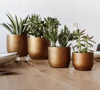 Capi 4-tlg. Blumentopf-Set Lux Retro Gold