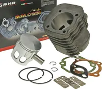 ZYLINDER MALOSSI 124ccm kompatibel für MBK BOOSTER 100, OVETTO 100, YAMAHA AEROX