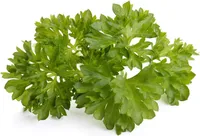 Click and Grow petržel, kapsle se semínky a substrátem 3ks
