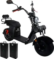 Rolektro, Elektroroller, City Cruiser, E - Chopper, City Coco 90