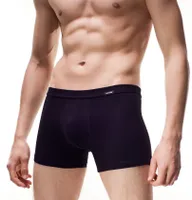 Pánske boxerky Authentic Perfect Mini Čierna XL