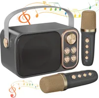 Mikrofon Karaoke Maschine mit 2 Mikrofonen Bluetooth-Lautsprecher