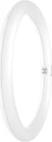 LED kruhová trubice T9C pro KVG/VVG 840 - LED-lampa/Multi-LED 220V G10q bílá TUBET9CEMV3218.3W840