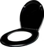 LZQ Toilettendeckel oval, Toilettensitz mit Absenkautomatik, Antibakterielle Klobrille, WC Sitz Klodeckel aus Hartplastik (Schwarz)