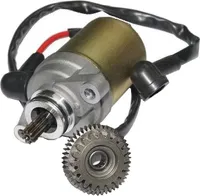 ANLASSER Starter RITZEL KOMPLETT für BAOTIAN BT49QT-18 Roller 50