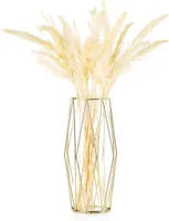 Goldvase mit geometrischem Metallrahmen, goldene Vase, große Vase, Pampasgras, moderne große Vasen (Grob)