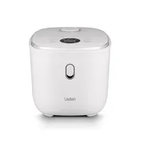 Electric Kettle 17CR – Lauben