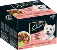 Cesar Feines Hundefutter Nassfutter Frischebeutel Favoriten in Sauce 24x100g