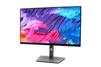 Dell 23,8" P2422H IPS LED (210-AZYX)