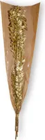 Kunstblumen - Ruscus - gold - 2 Zweige - ca. 70 cm