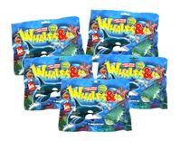 DeAgostini Whales & Co.Maxxi Edition - 5 Booster
