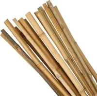 Bambusová tyč, priemer 1 - 1,5 cm, dĺžka 50 cm