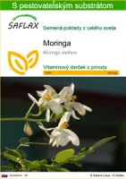 SAFLAX - moringa - Moringa oleifera - 10 Semená - S pestovateľským substrátom bez klíčkov